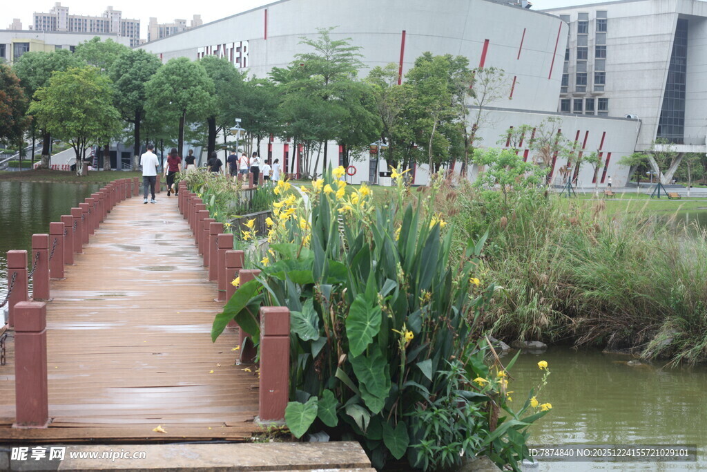 河畔木栈道旁的美丽花卉