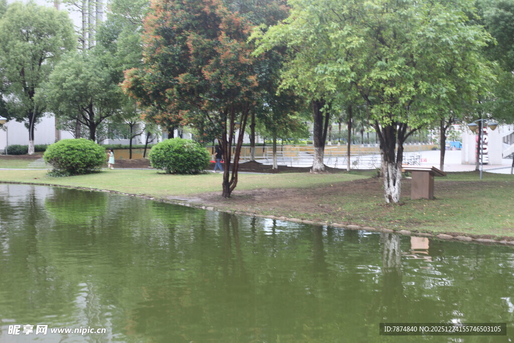 湖畔绿树成荫的宁静景致