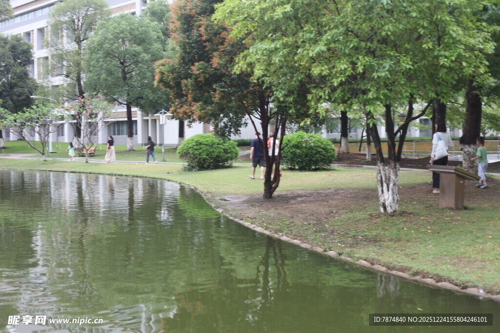 湖畔绿树环绕的休闲场景