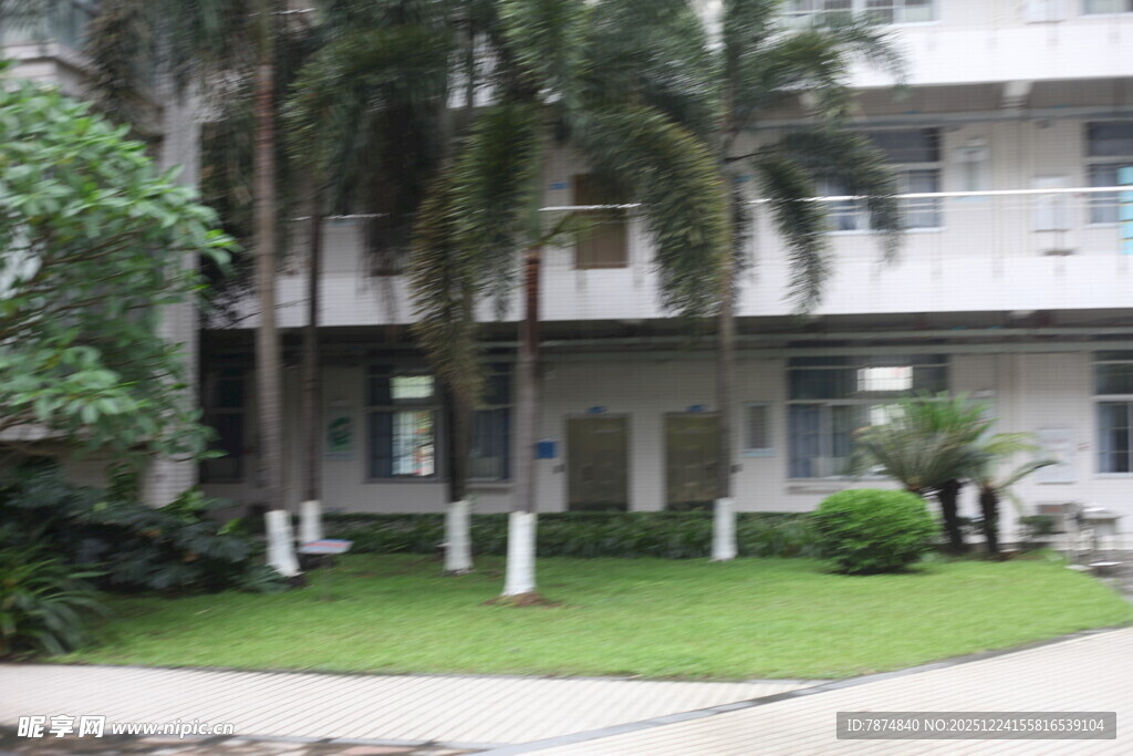 庭院中的绿植与建筑景观