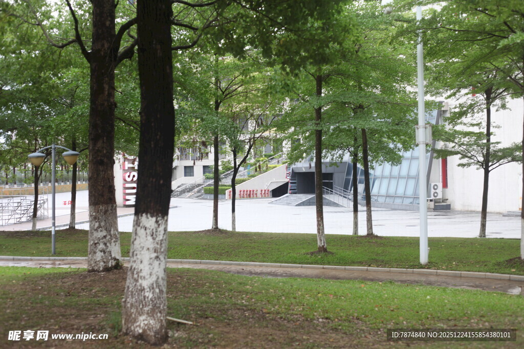 城市公园中的绿树景致