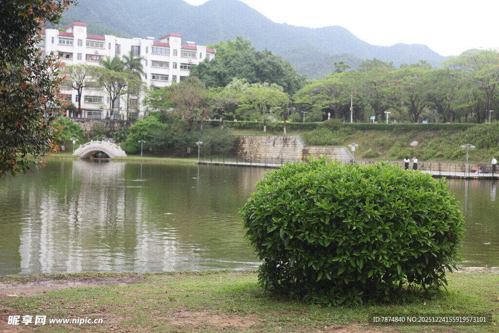 湖畔园林景致