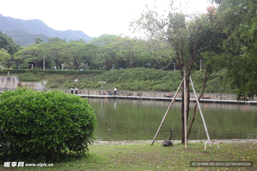 湖畔绿植环绕自然景致