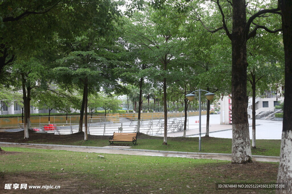 公园绿树环绕的静谧景致