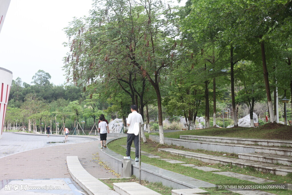 校园中漫步的学生身影