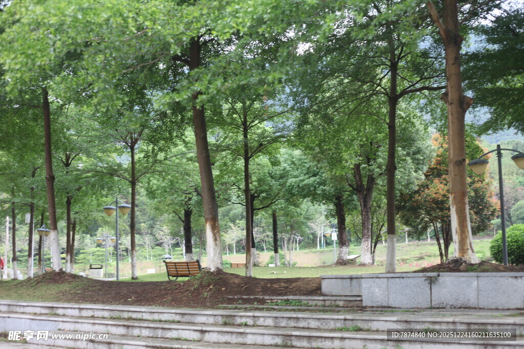 林间静谧长椅景观