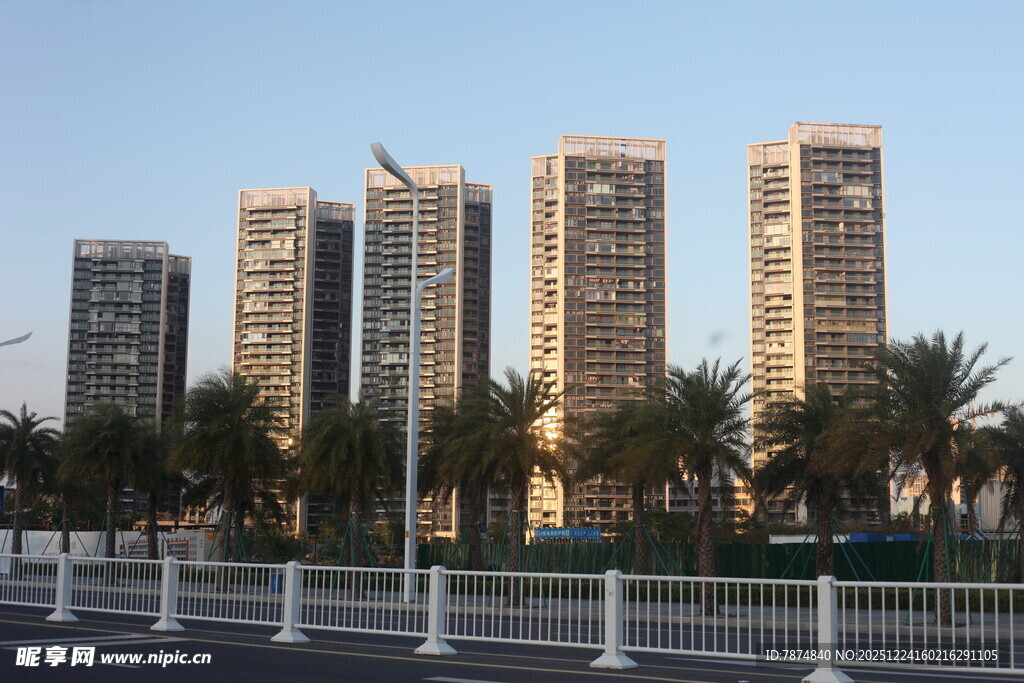 城市高楼与棕榈树景观