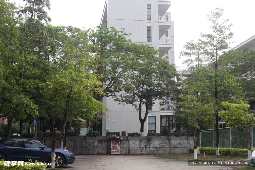 绿树环绕的现代建筑