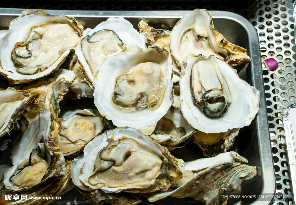 新鲜牡蛎摆盘展示