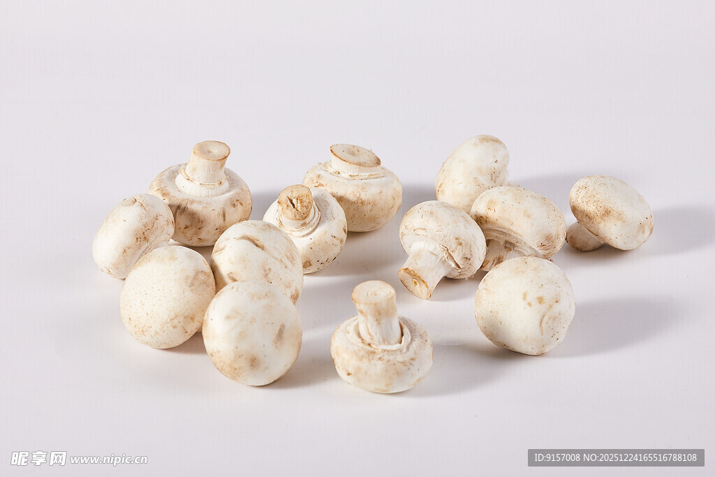散落的新鲜白蘑菇