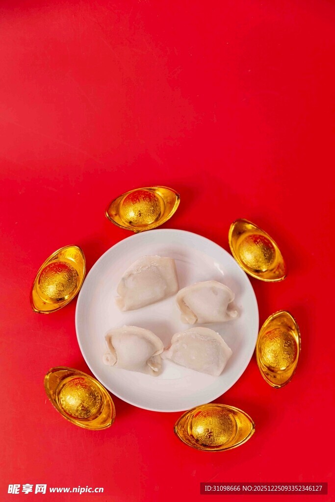 金元宝环绕的美味饺子