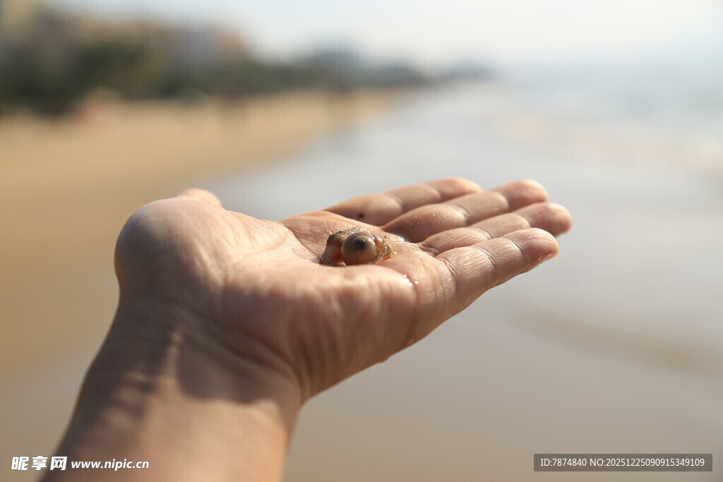 海边摊开的手掌