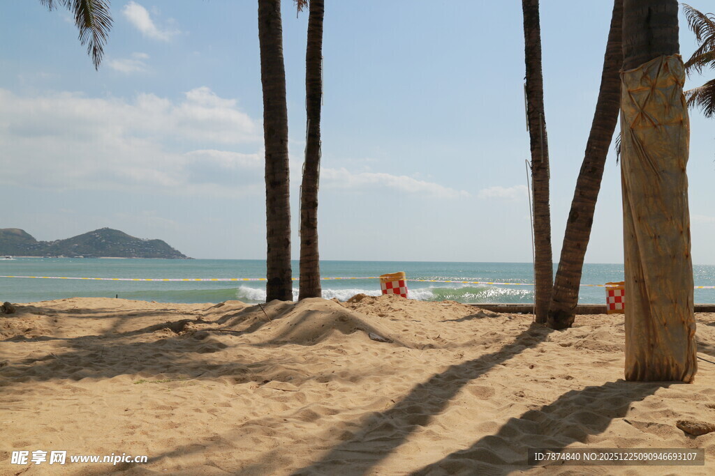 沙滩椰树旁的海景风光