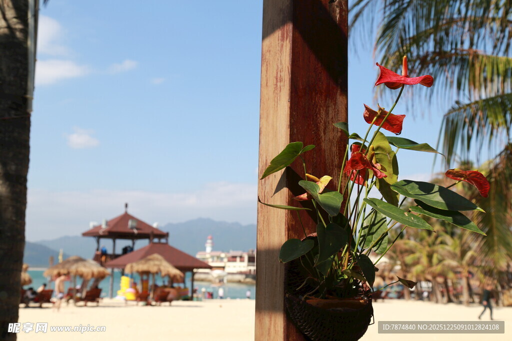 热带海滩风光与休闲设施