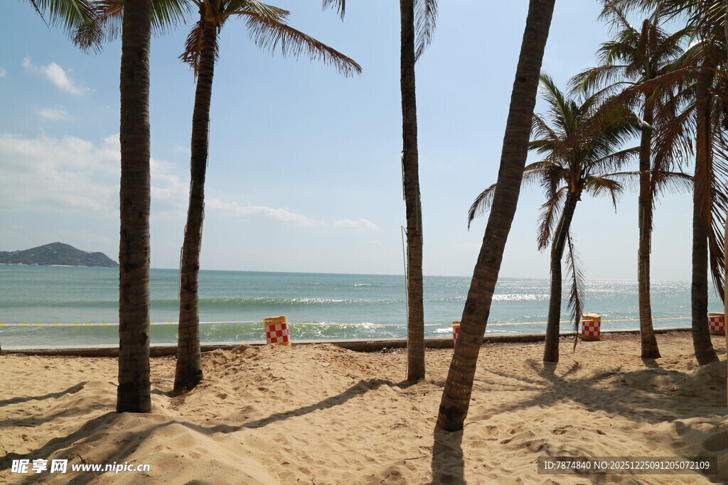 热带海滩椰林海景风光