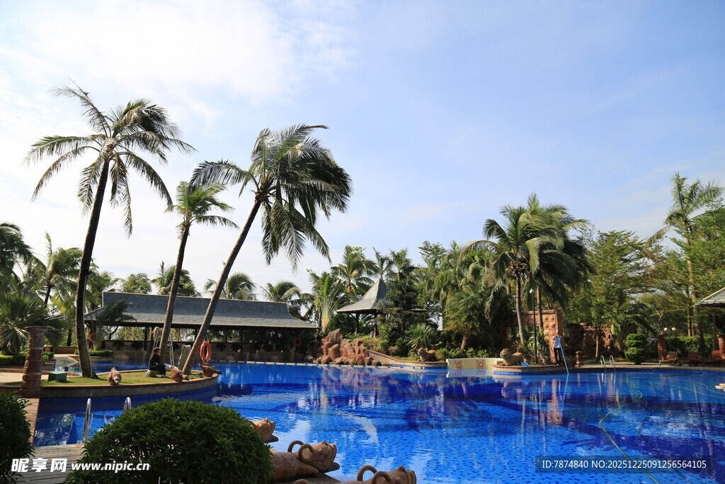 热带风情泳池景观