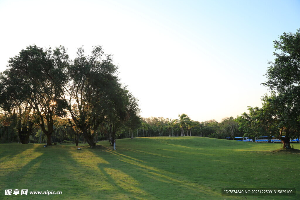 夕阳下的绿意草坪与树木