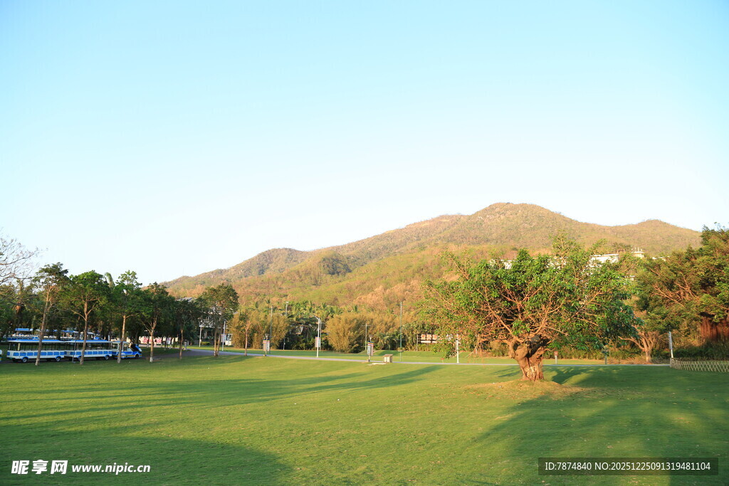 翠绿草坪与远山风光