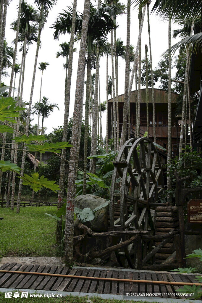 田园水车旁的自然景致