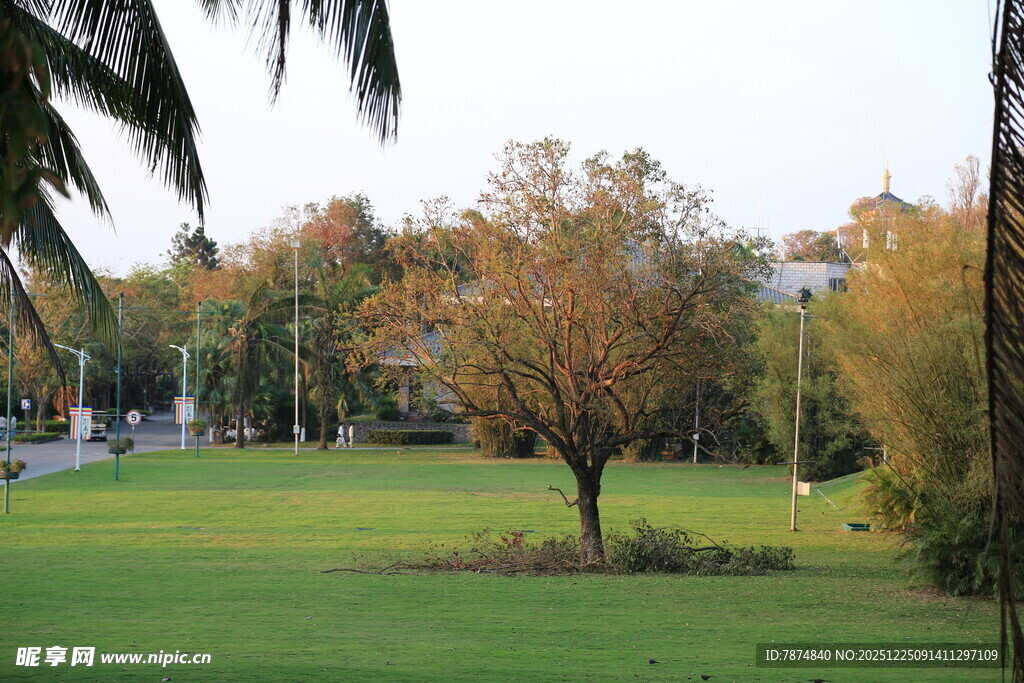 公园绿意盎然的秋日景象