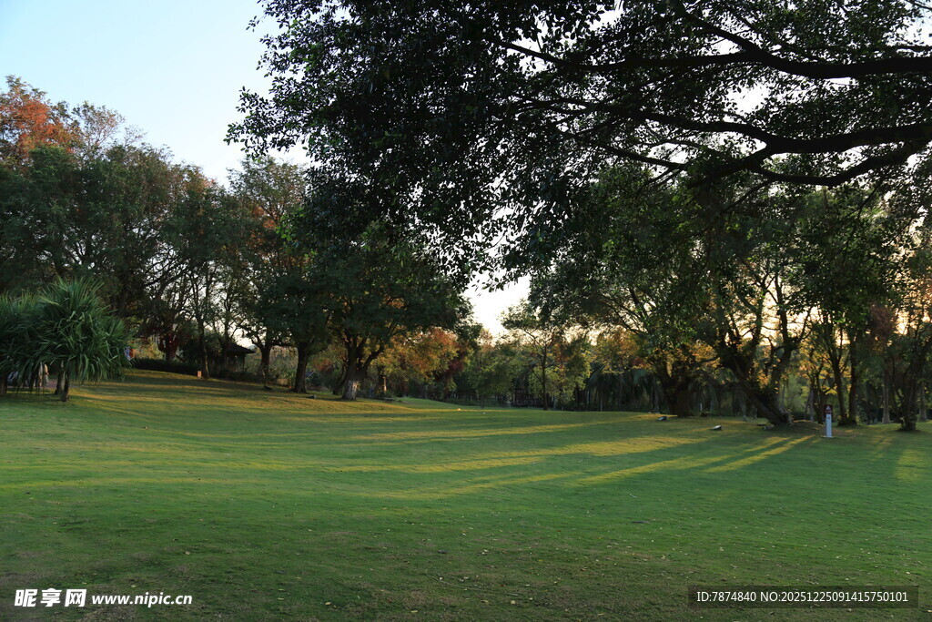 阳光照耀下的静谧高尔夫球场