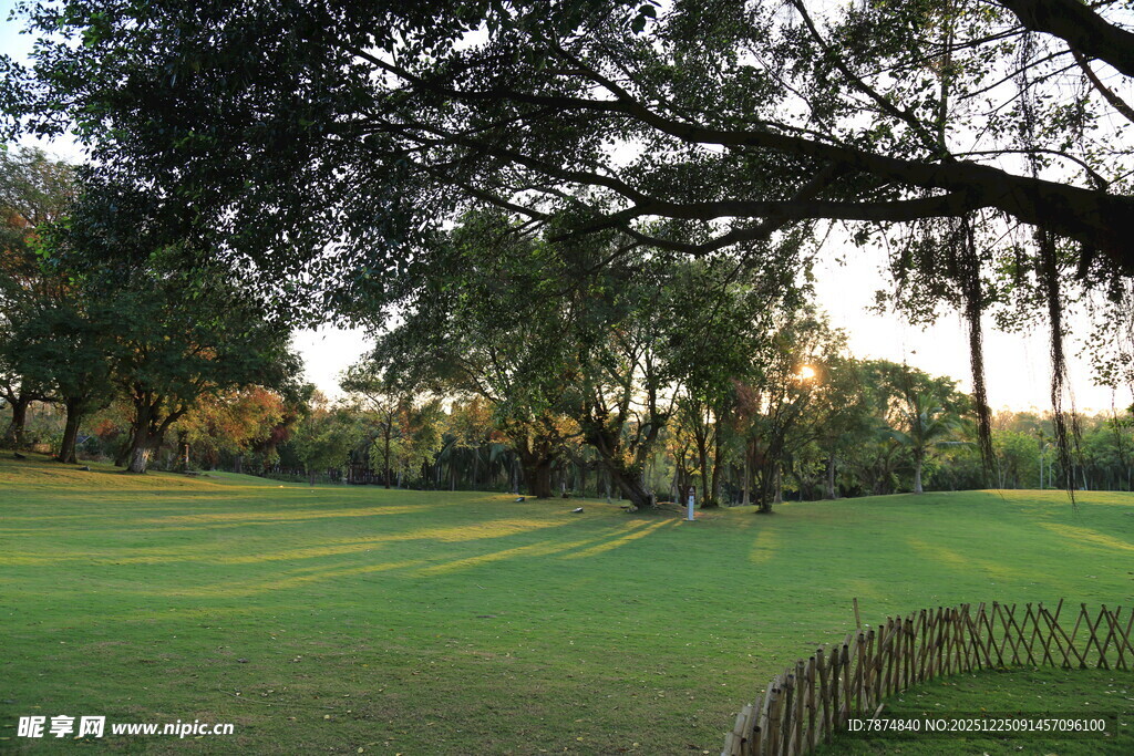 静谧高尔夫球场绿意风光