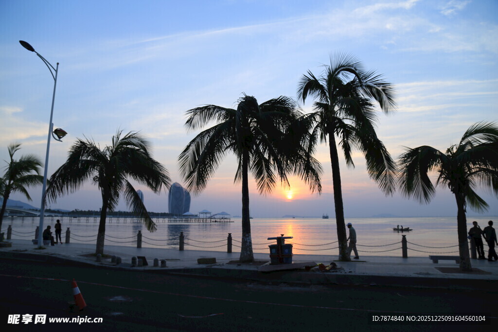 海边日落时的椰树美景
