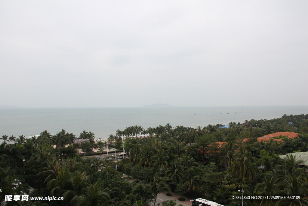 海边椰林景观俯瞰