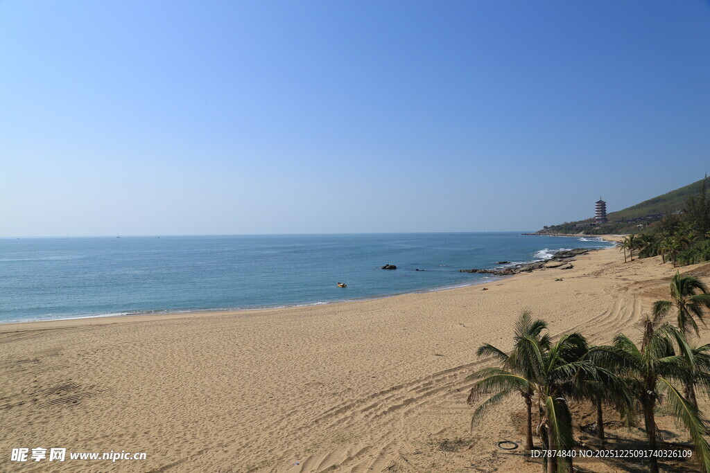美丽沙滩海景 椰树点缀