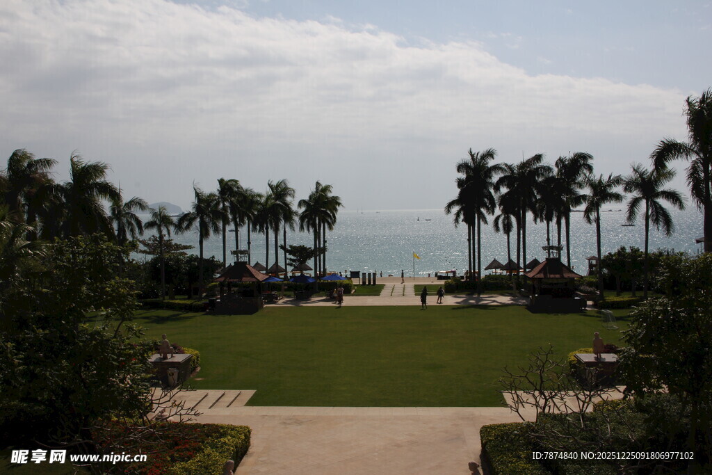 海滨棕榈园景观