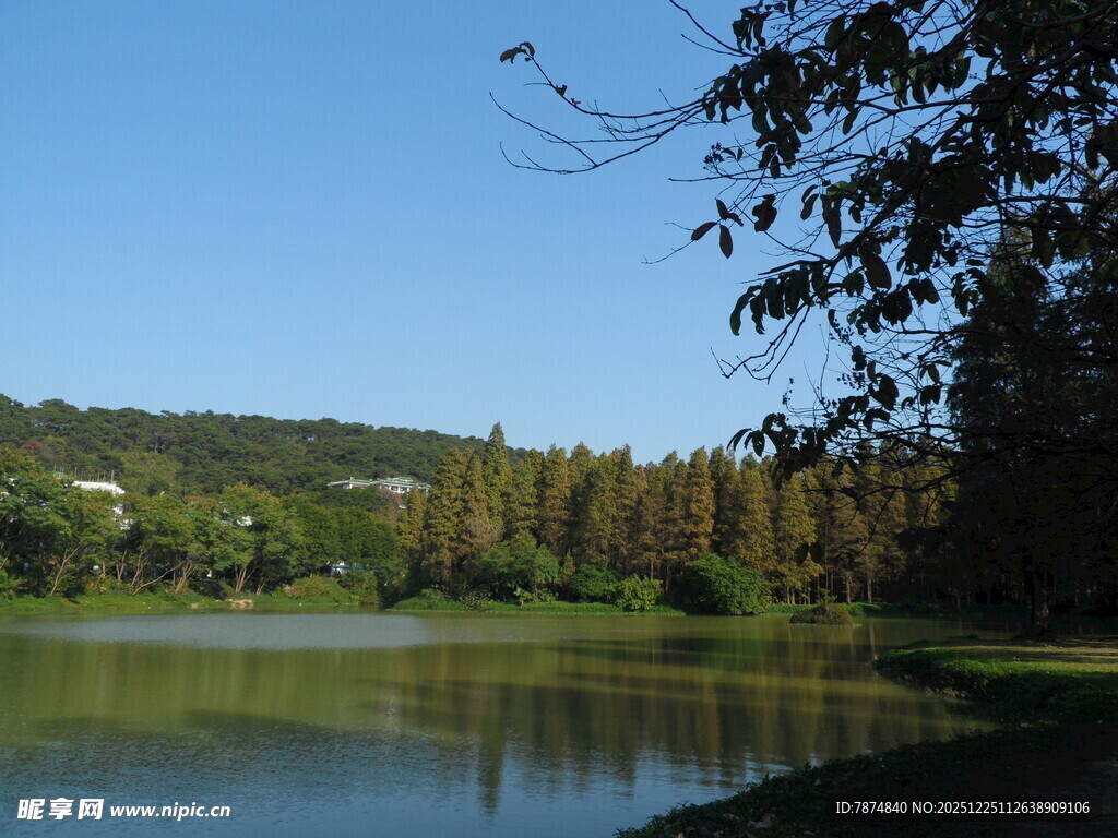 湖畔绿树成荫的美丽风光