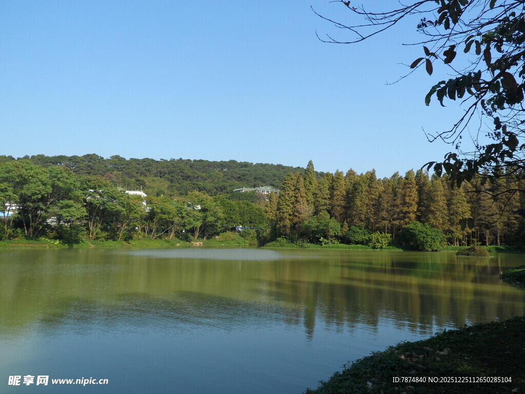 宁静湖畔自然风光