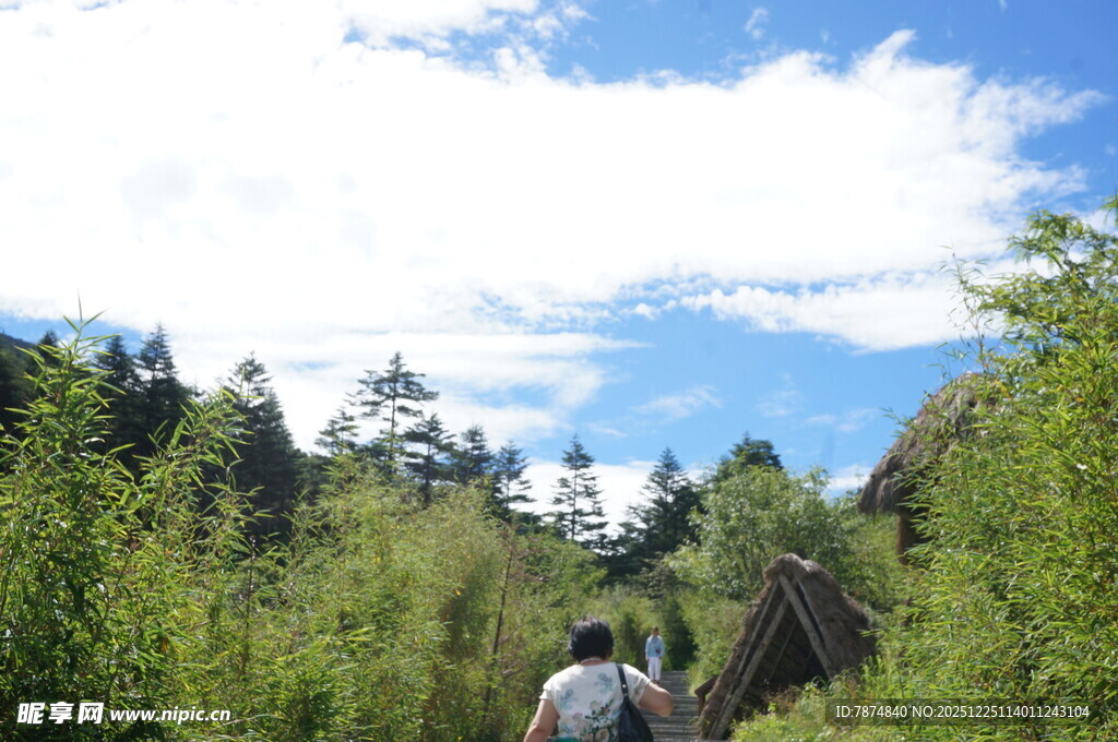 徒步山林中的两个人