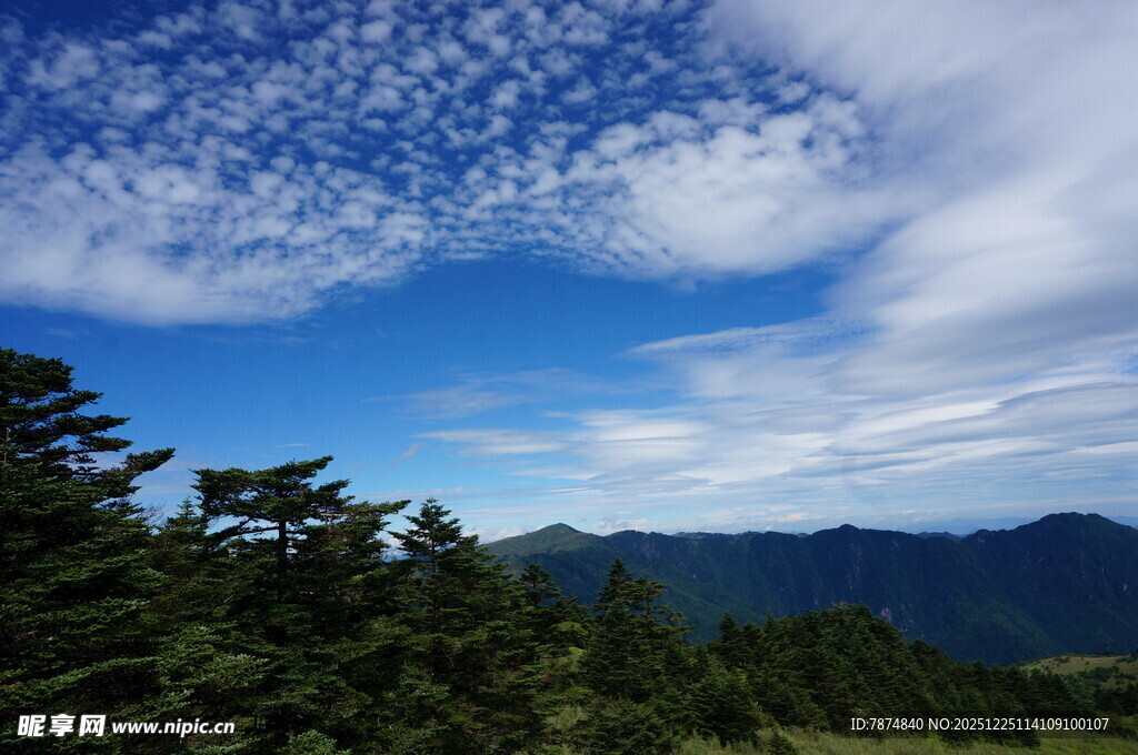 蓝天白云下的山林美景