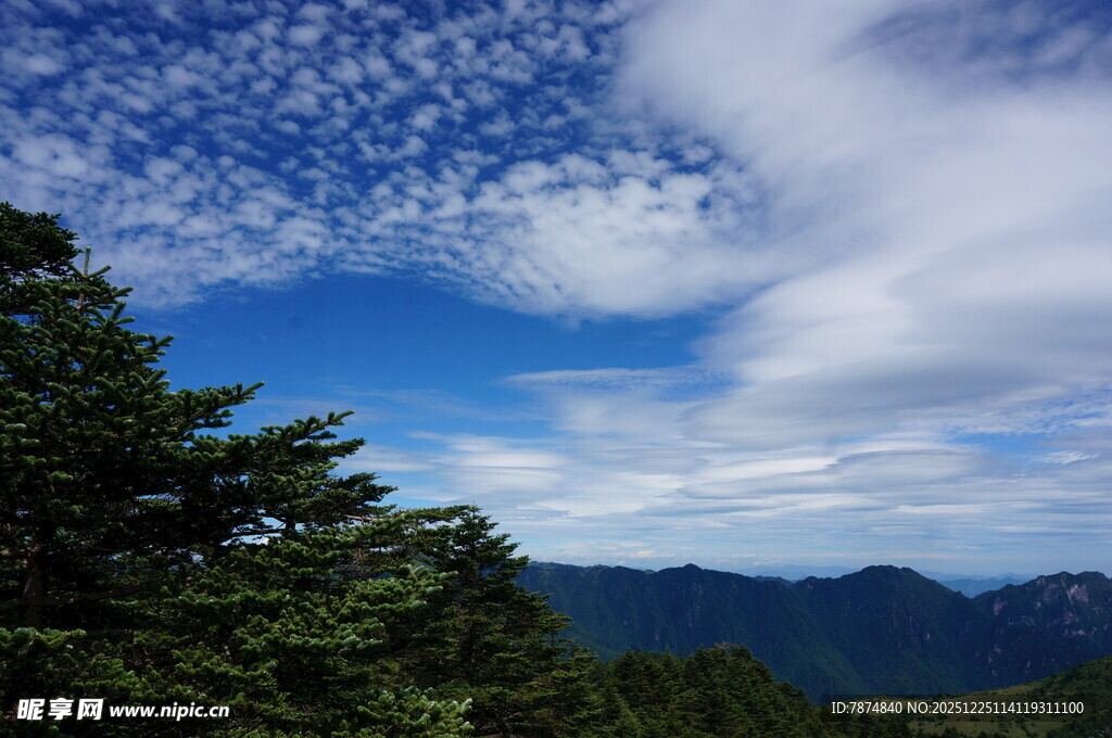 山间蓝天绿树美景