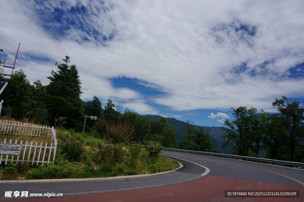 蜿蜒公路旁的山林景致