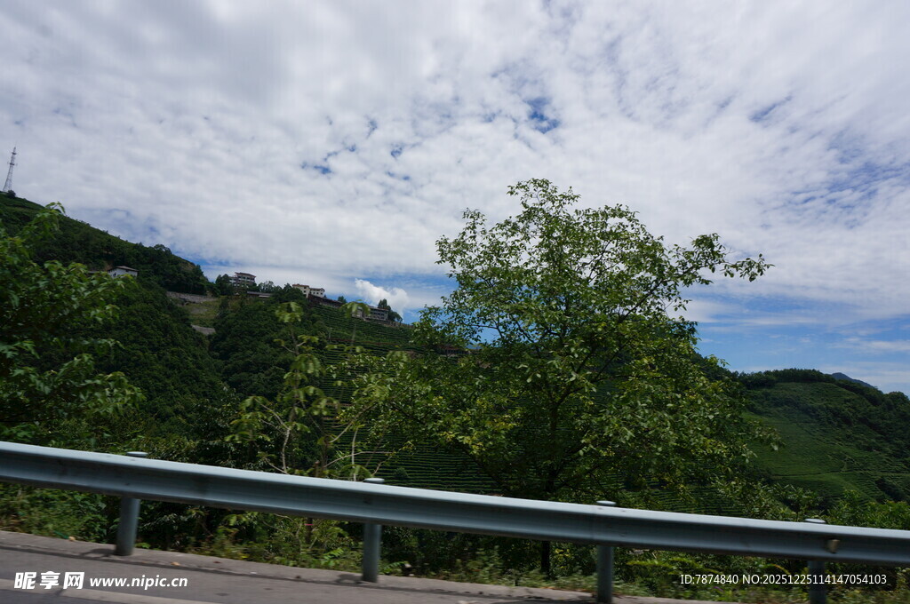 公路旁绿意盎然的自然景致