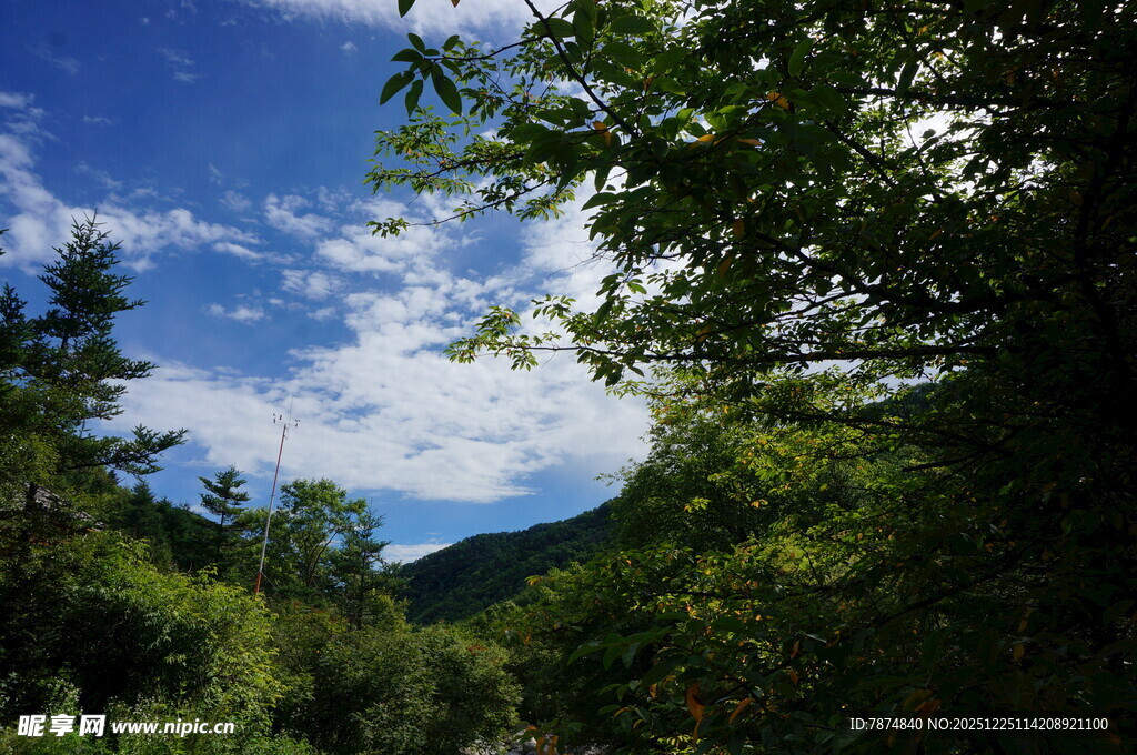 山林间的蓝天绿树美景