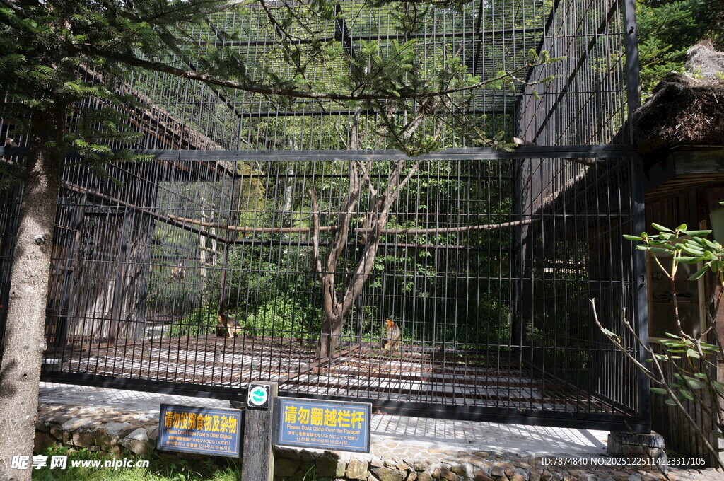 动物园中的动物笼舍景观