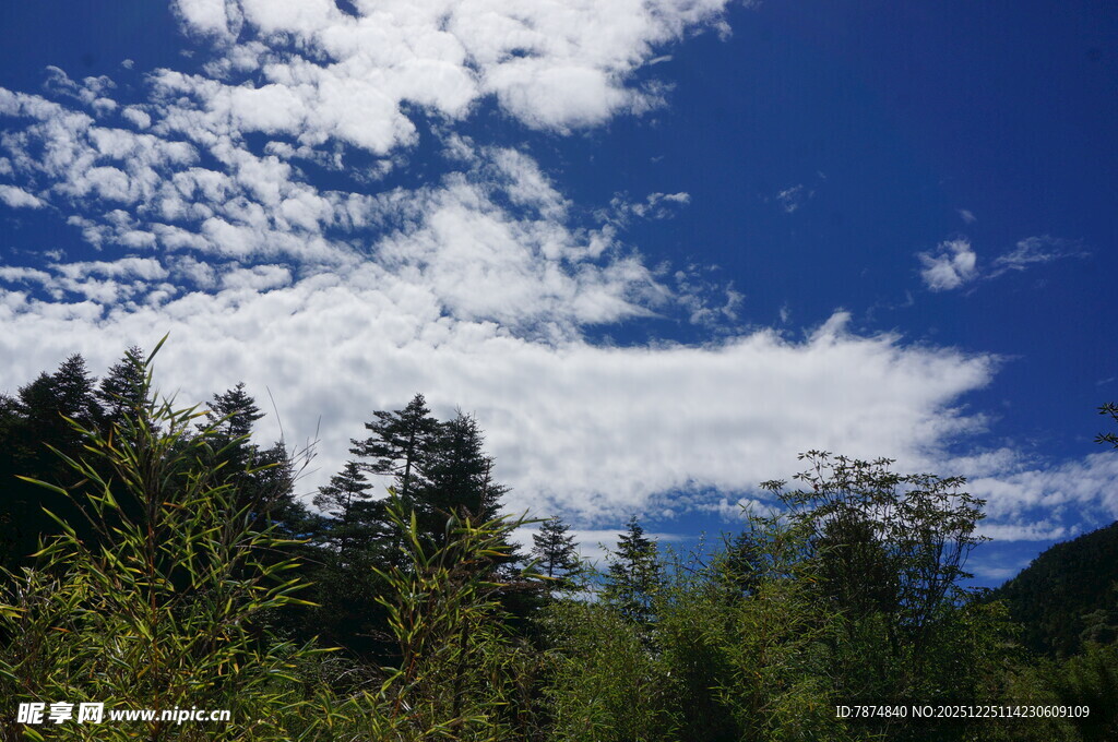 蓝天白云下的葱郁山林