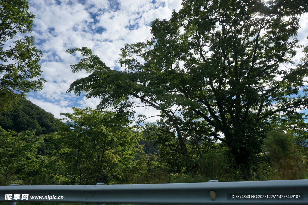 车窗外的绿树蓝天美景