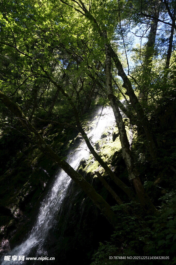 林间瀑布 绿意盎然的景致
