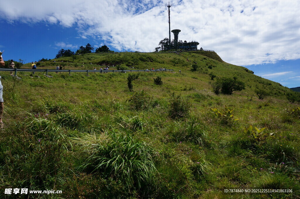 山顶风光 绿意与蓝天相映