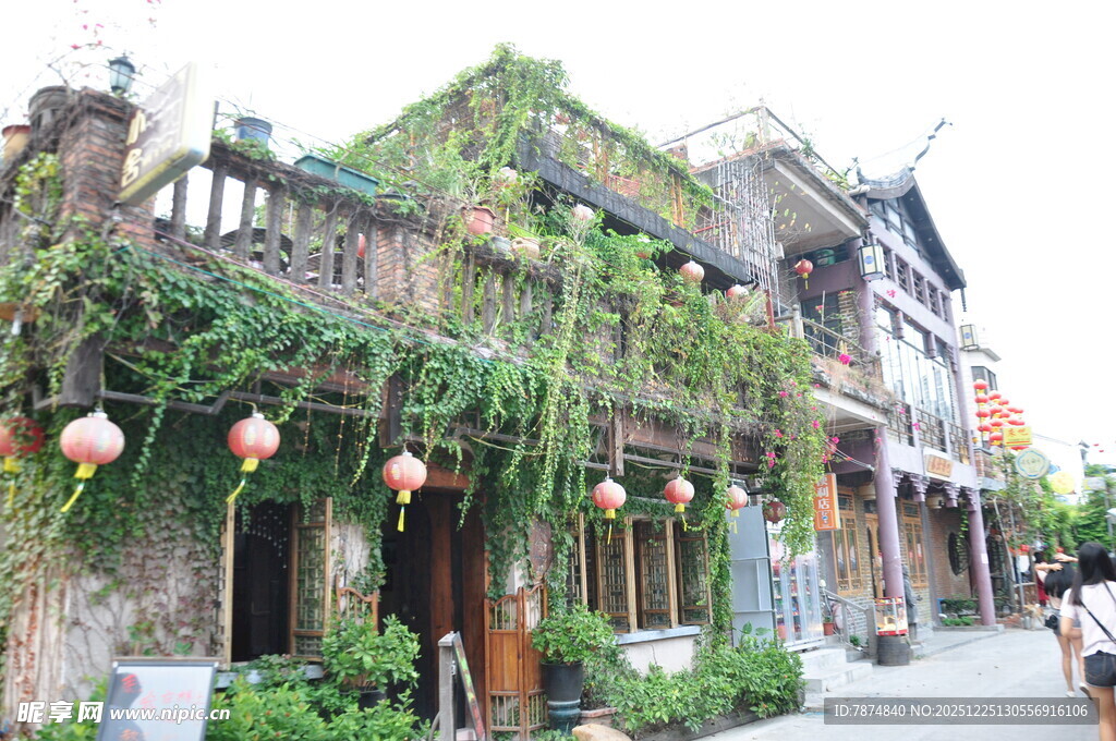 古巷绿植缠绕的特色街道