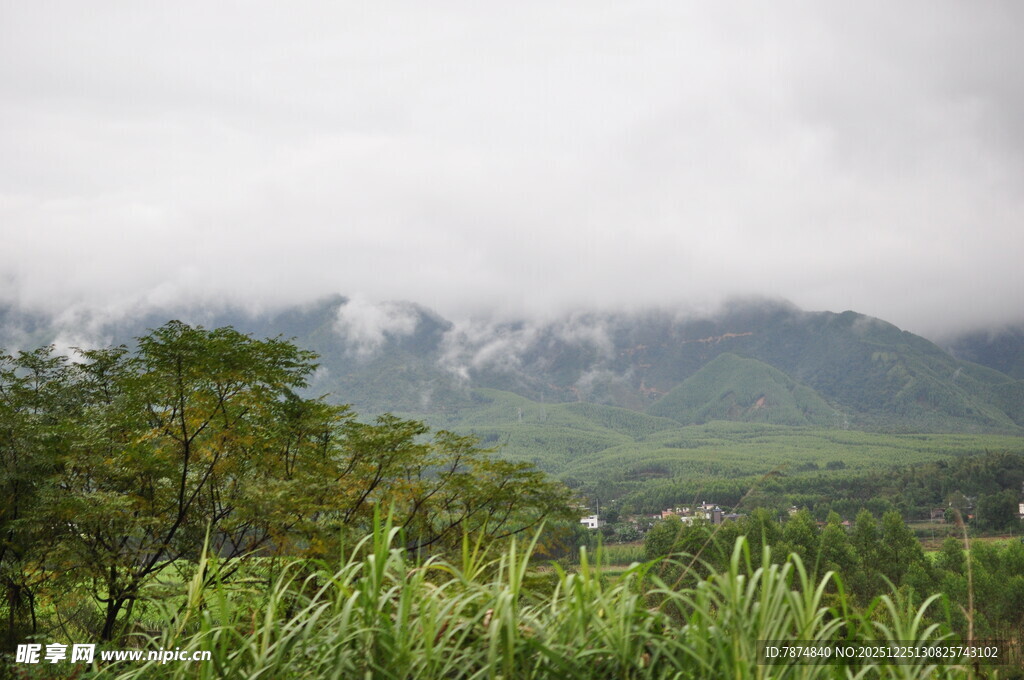 云雾缭绕的山间绿野风光