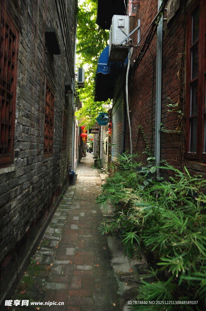 古巷幽径 绿植相伴的静谧处