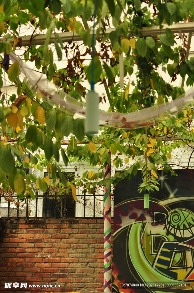 藤蔓下的砖墙与艺术涂鸦