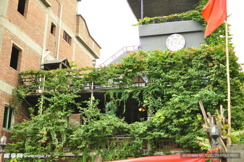 绿植覆盖的建筑一角