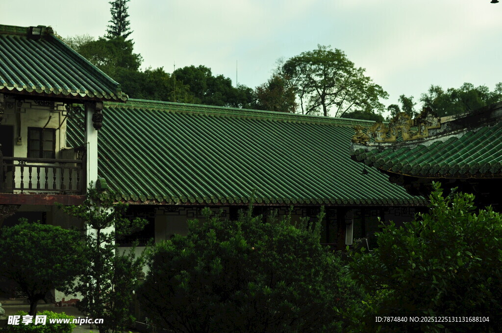 中式绿瓦建筑隐于绿植间
