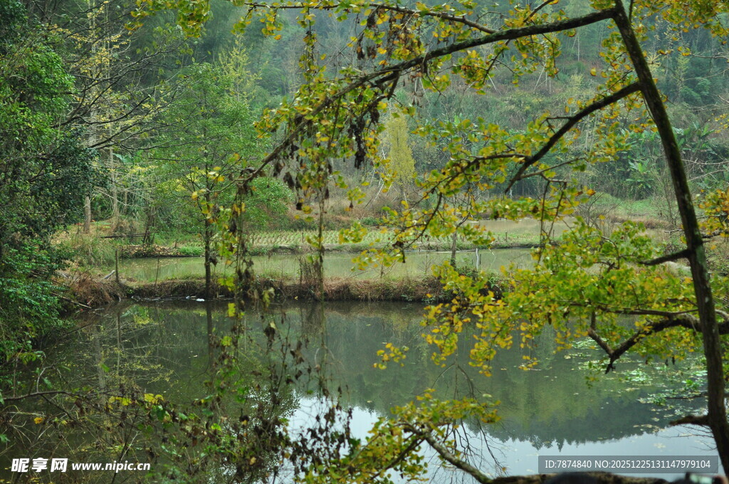 湖畔绿意盎然的自然景致